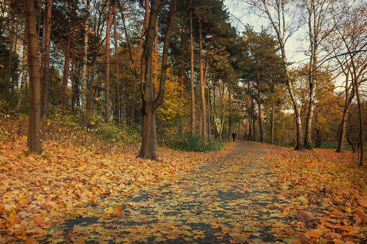 photo "***" tags: landscape, autumn