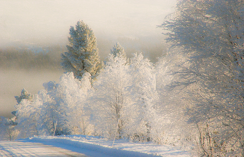 photo "Hoar-frost" tags: landscape, 