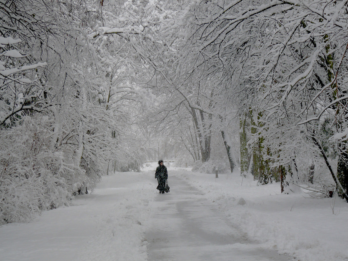 photo "***" tags: street, winter