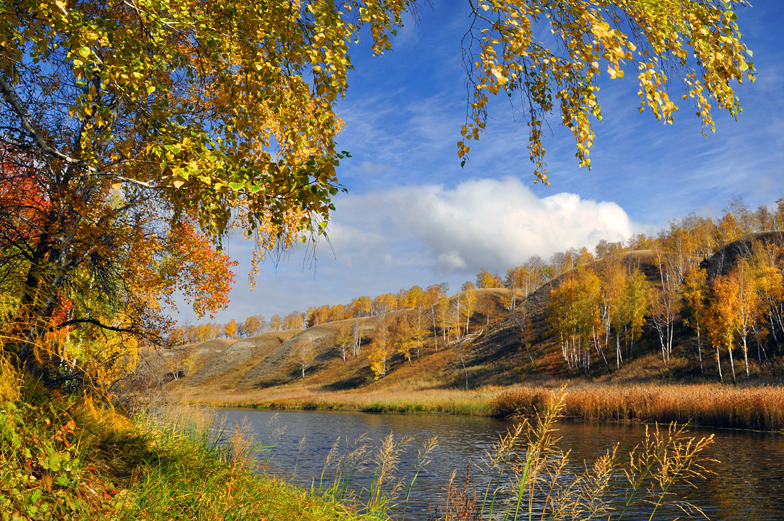 photo "***" tags: landscape, autumn