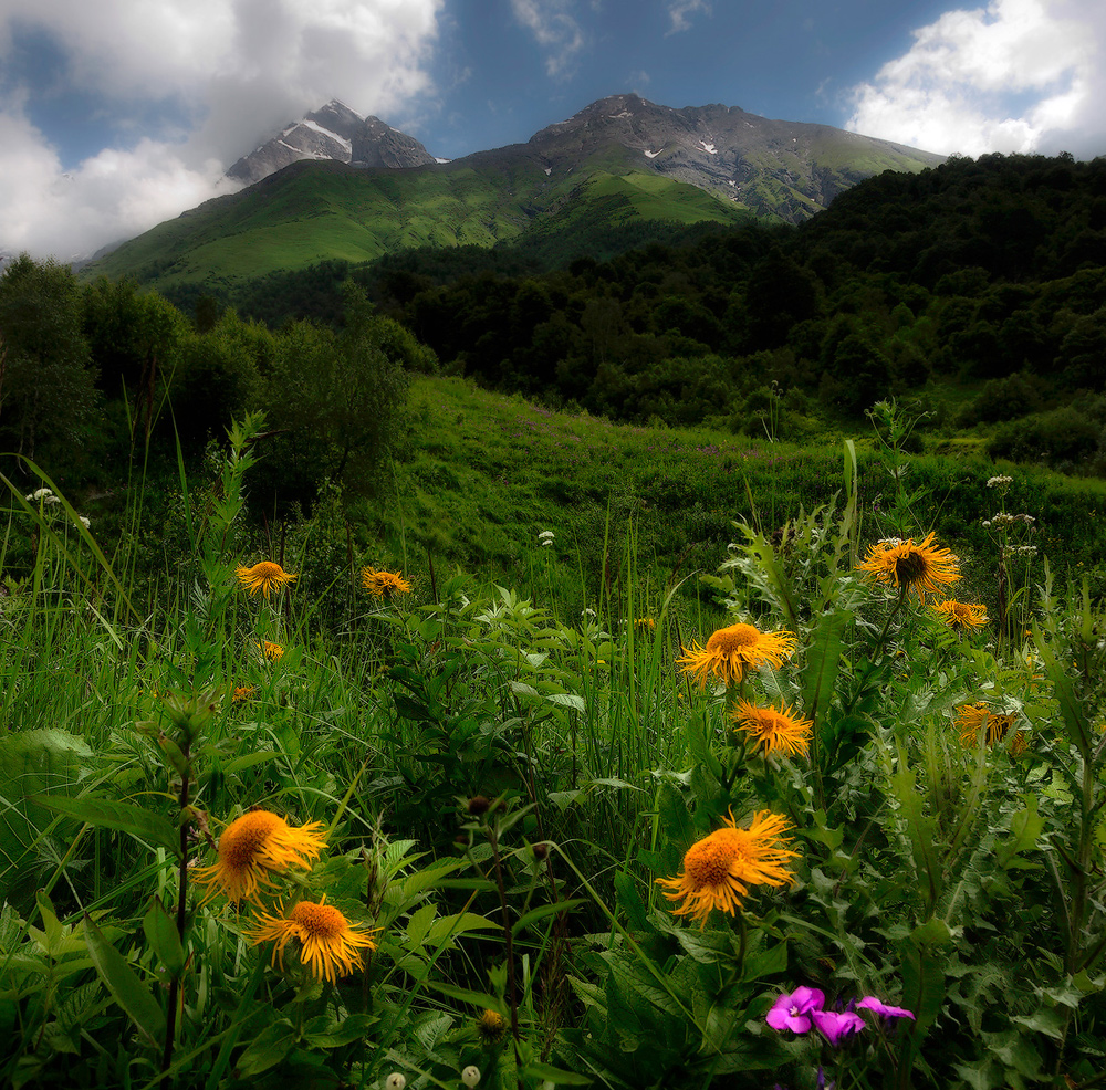 photo "Как я провёл лето..." tags: landscape, 