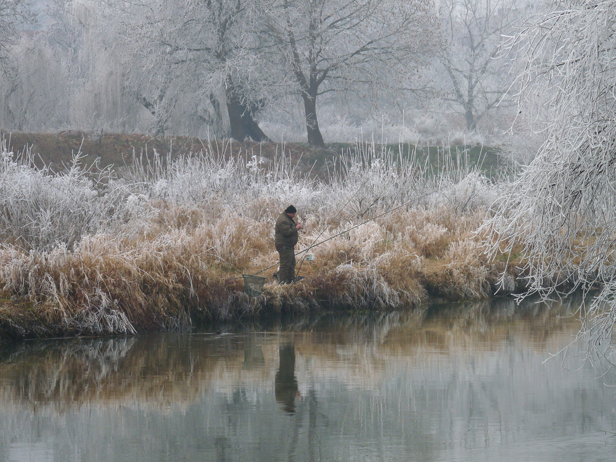 photo "***" tags: nature, winter