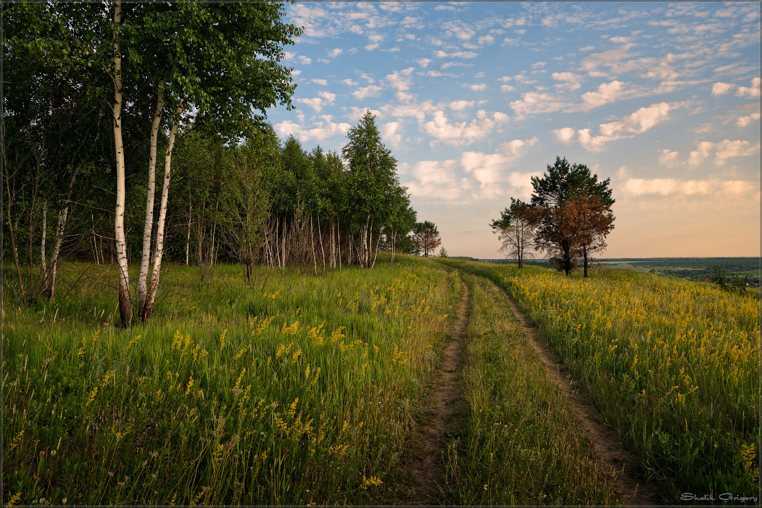 photo "***" tags: landscape, evening, summer, sunset