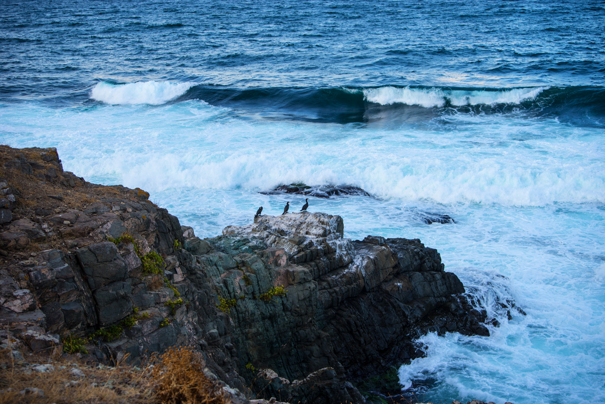 photo "***" tags: nature, landscape, travel, rocks, sea, птицы