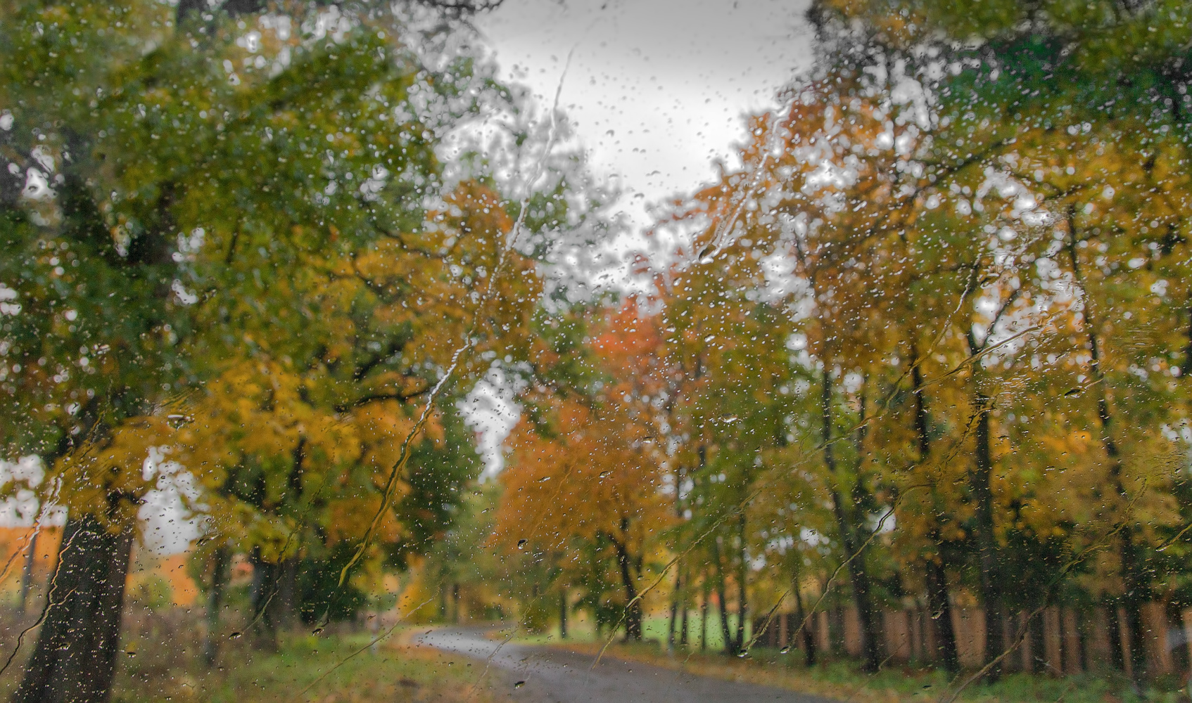 photo "***" tags: street, abstract, nature, autumn, rain, капли, стекло автомобиля