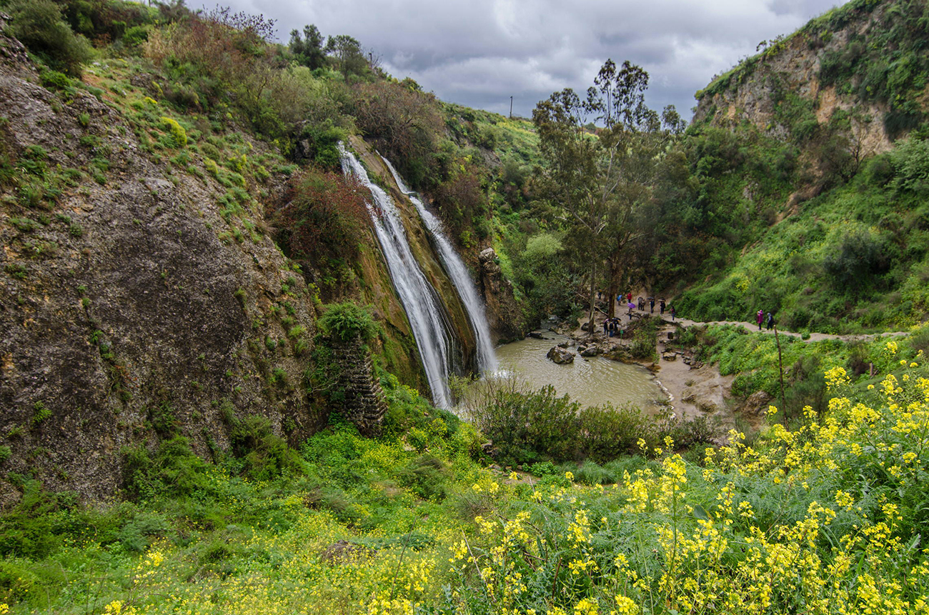 photo "***" tags: landscape, Israel, Голаны