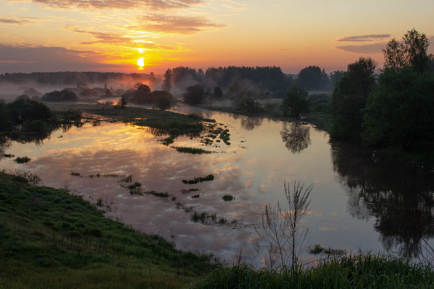 photo "***" tags: landscape, fog, morning, river, summer, Шерна