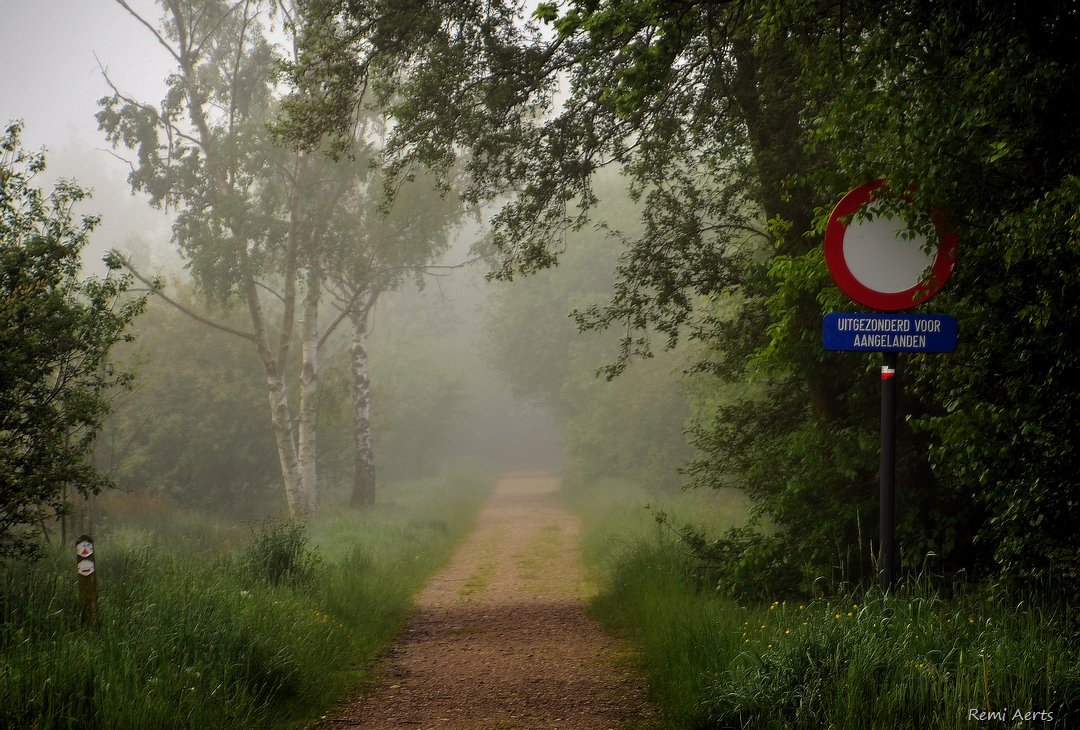 photo "***" tags: landscape, nature, street, 