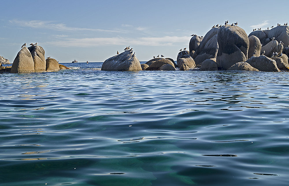 photo "***" tags: landscape, nature, water