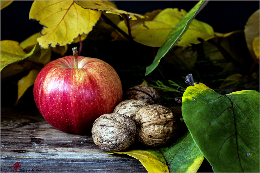 photo "***" tags: still life, 