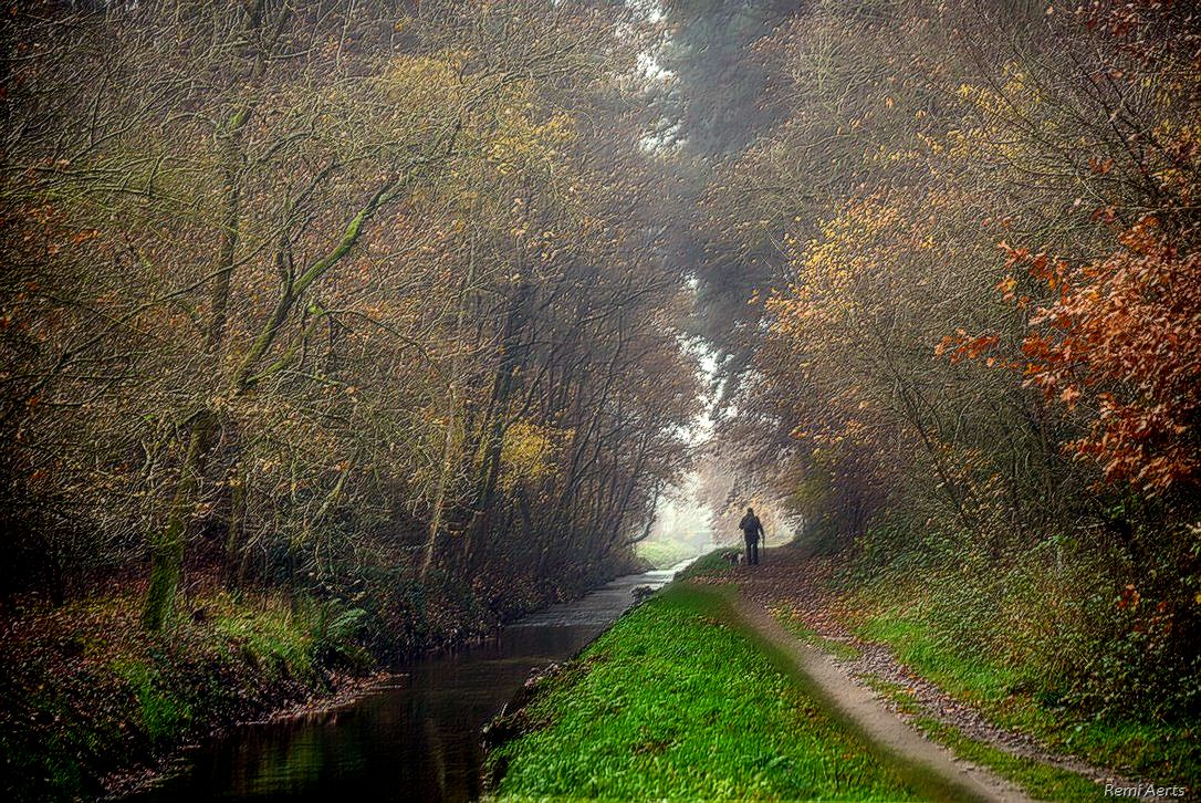 photo "***" tags: nature, landscape, street, 