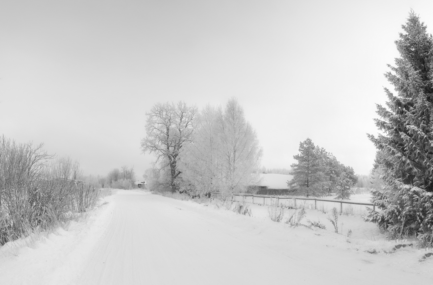 фото "Плохое настроение..." метки: пейзаж, природа, 