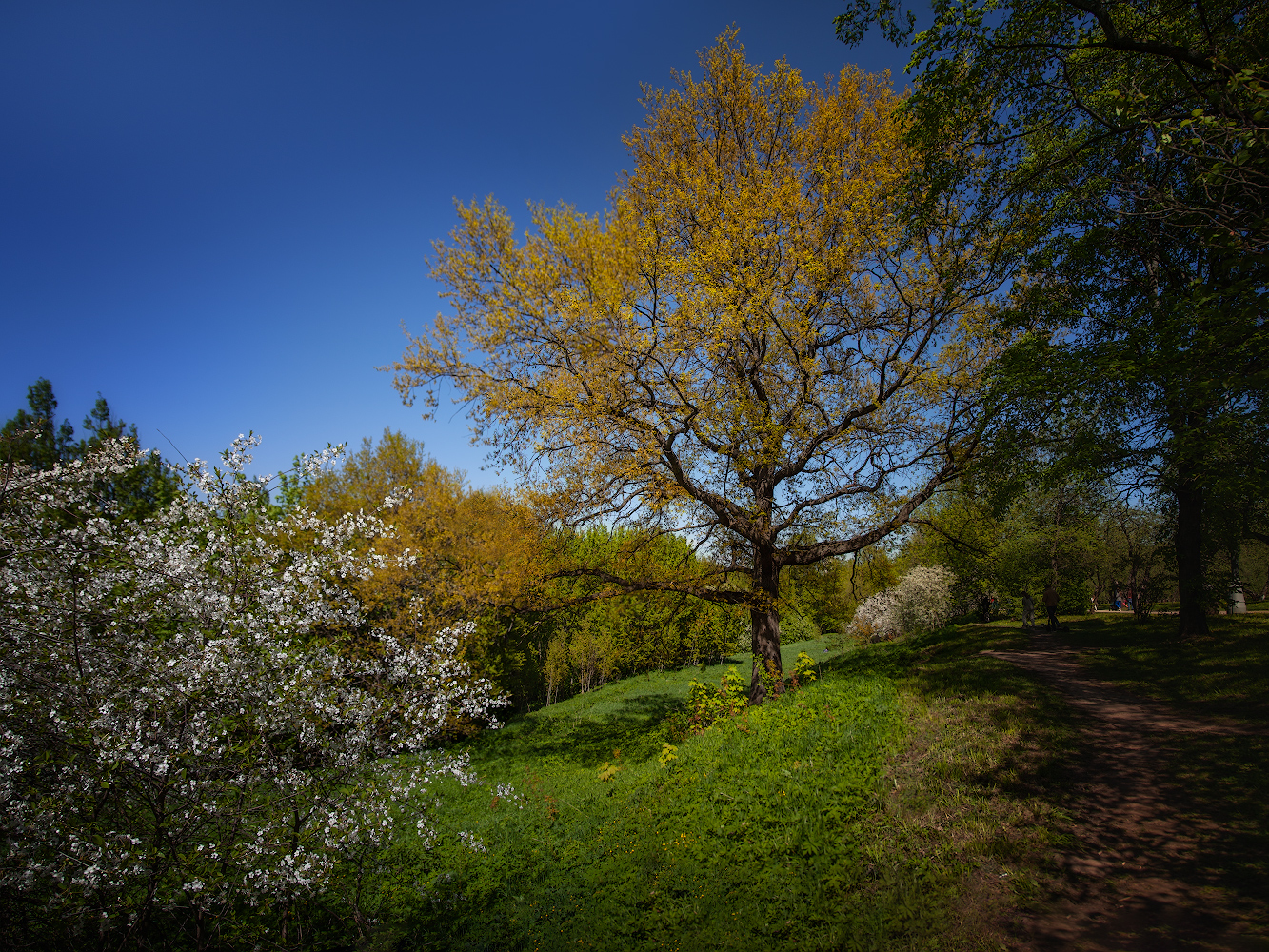 фото "***" метки: пейзаж, 