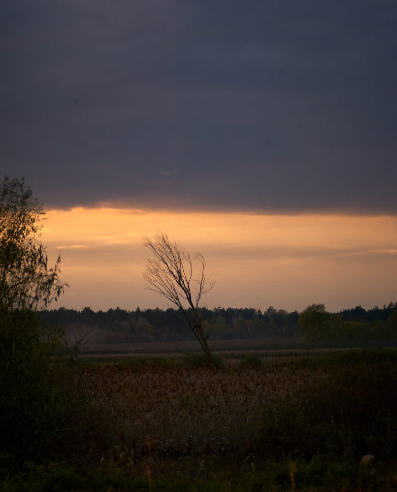 photo "***" tags: landscape, nature, Landscape, autumn, evening, sky, sunset, арт, меланхолия, настроение, пейзаж  меланхолия, полесье