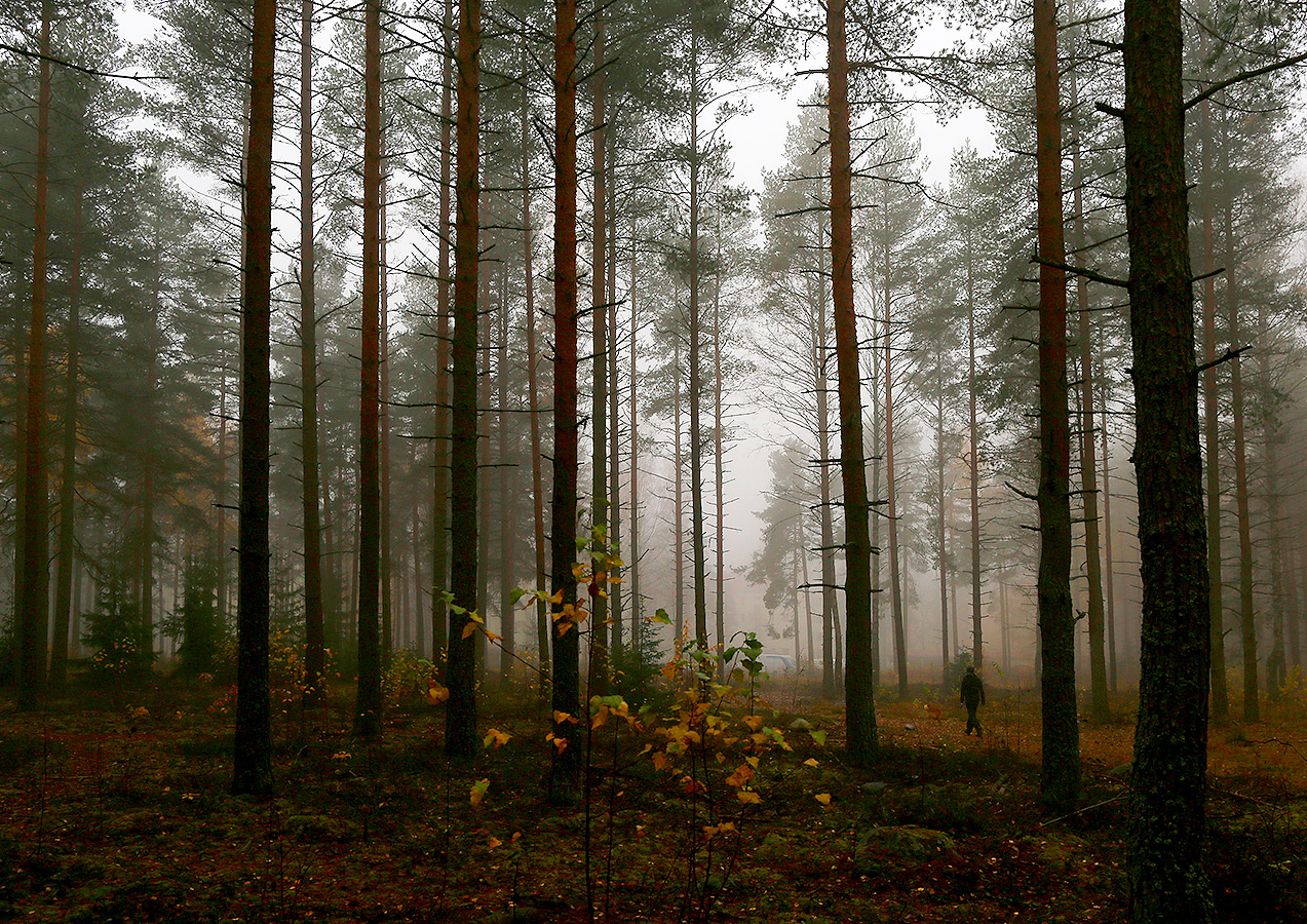 фото "***" метки: пейзаж, 