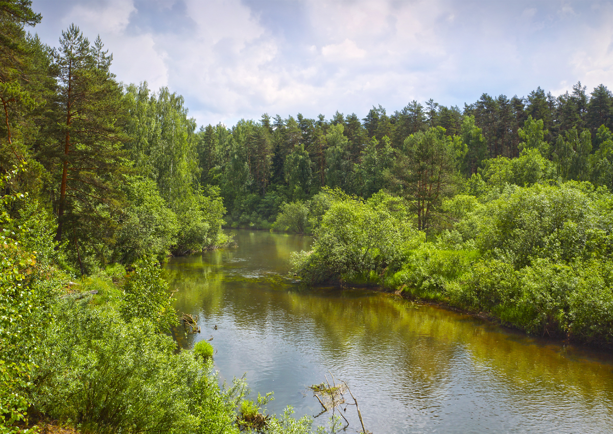 photo "***" tags: landscape, nature, coast, forest, reflections, river, sky, water, глубинка, деревья