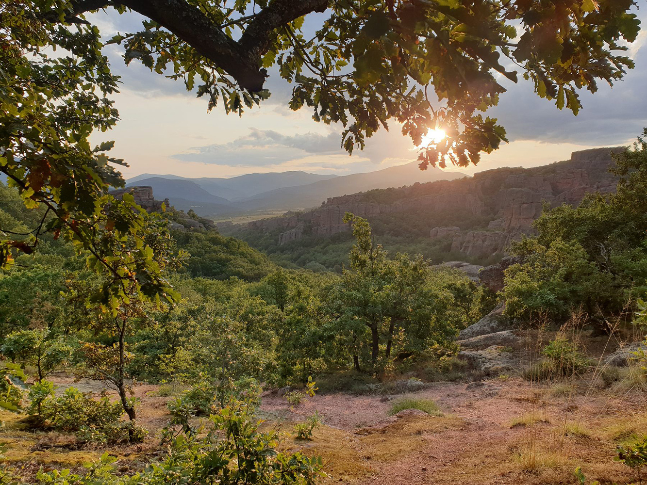 photo "***" tags: landscape, summer