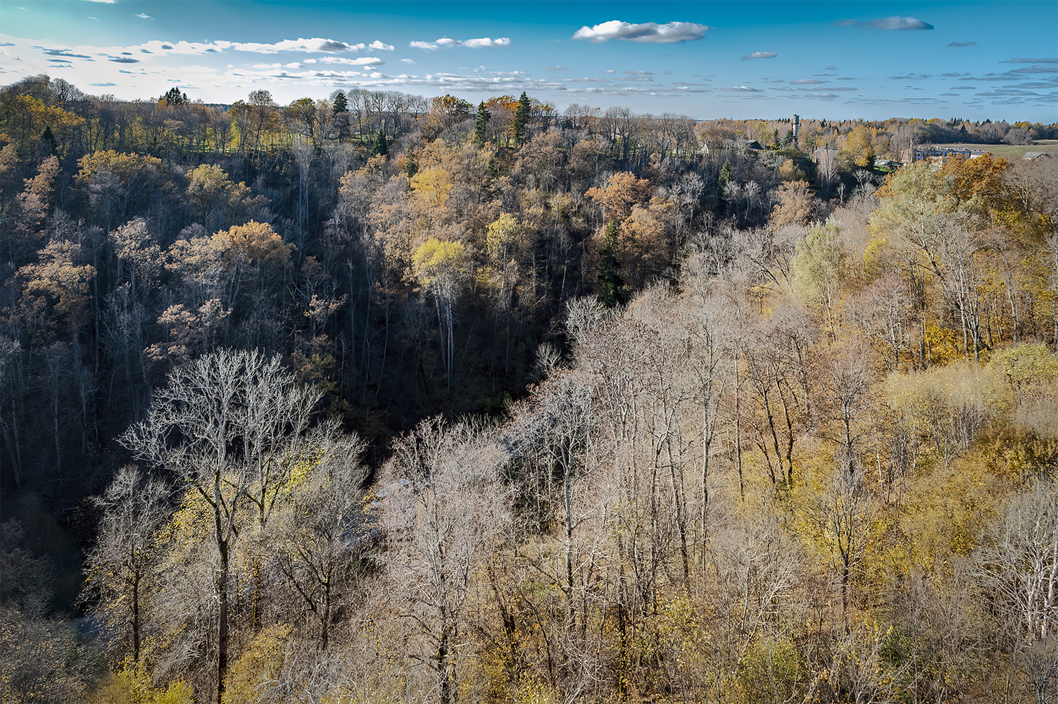 photo "Sigulda" tags: landscape, 