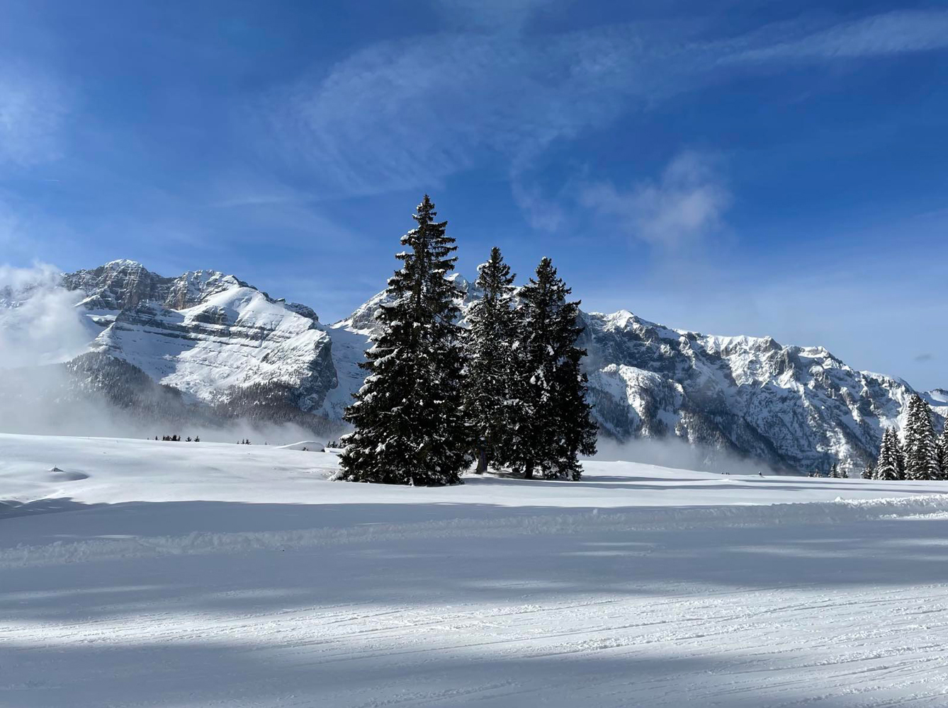 photo "***" tags: nature, landscape, winter